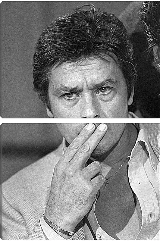 Модульная картина - Ален Делон. Alain Delon