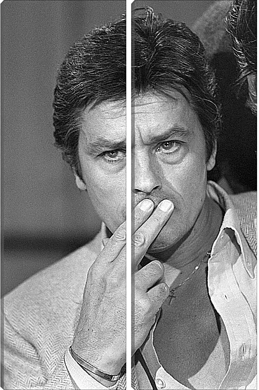 Модульная картина - Ален Делон. Alain Delon