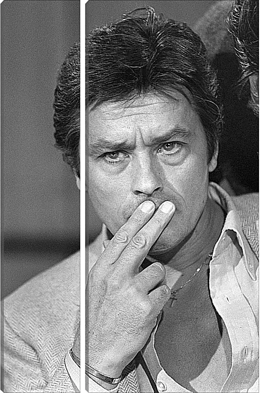 Модульная картина - Ален Делон. Alain Delon