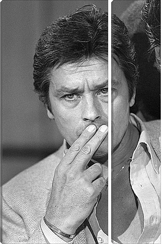 Модульная картина - Ален Делон. Alain Delon