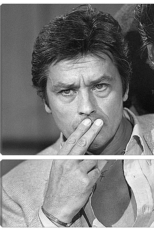 Модульная картина - Ален Делон. Alain Delon