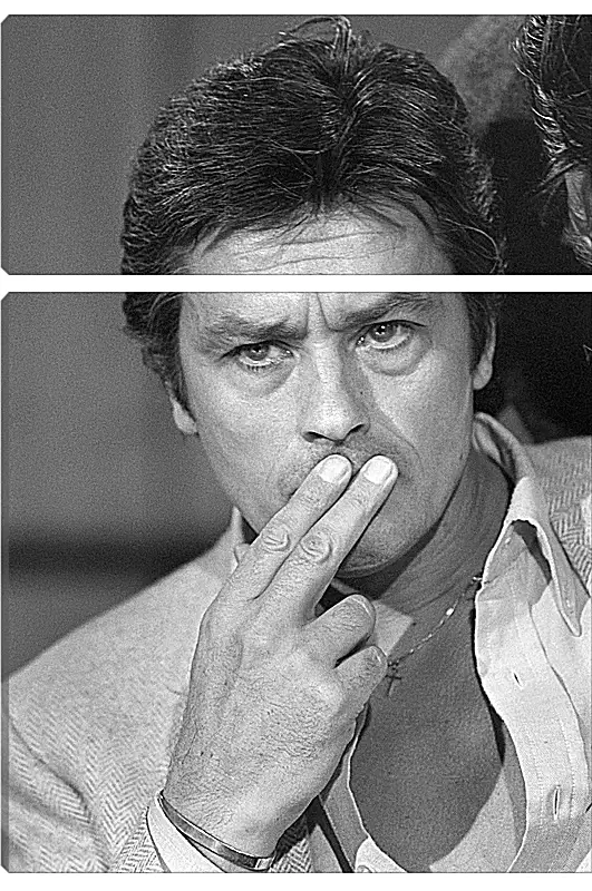 Модульная картина - Ален Делон. Alain Delon