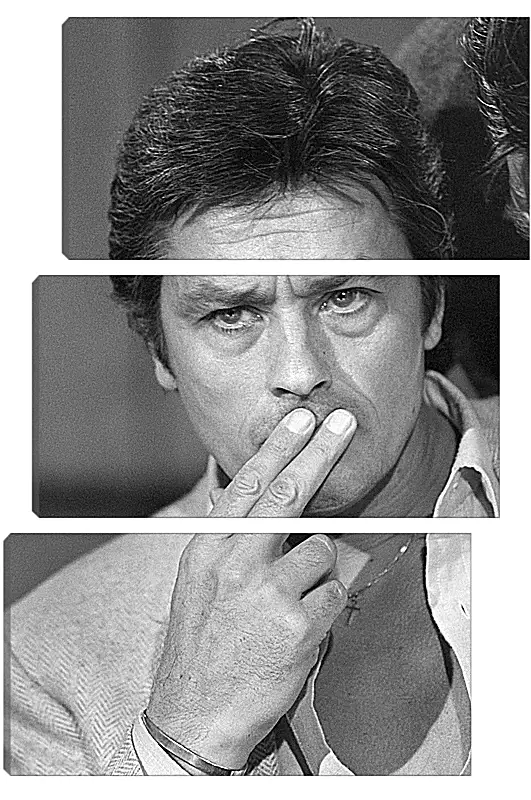 Модульная картина - Ален Делон. Alain Delon