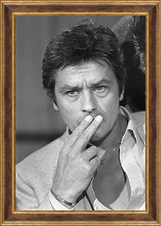 Картина в раме - Ален Делон. Alain Delon