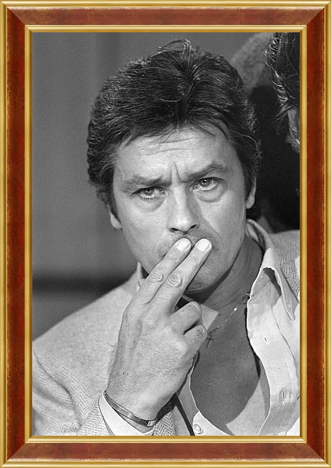 Картина в раме - Ален Делон. Alain Delon