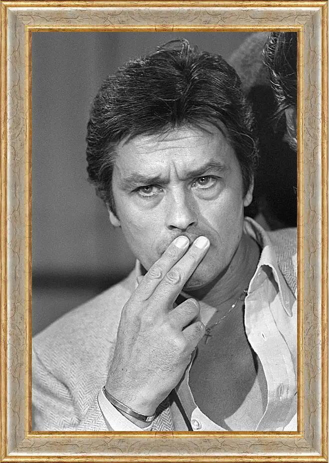 Картина в раме - Ален Делон. Alain Delon