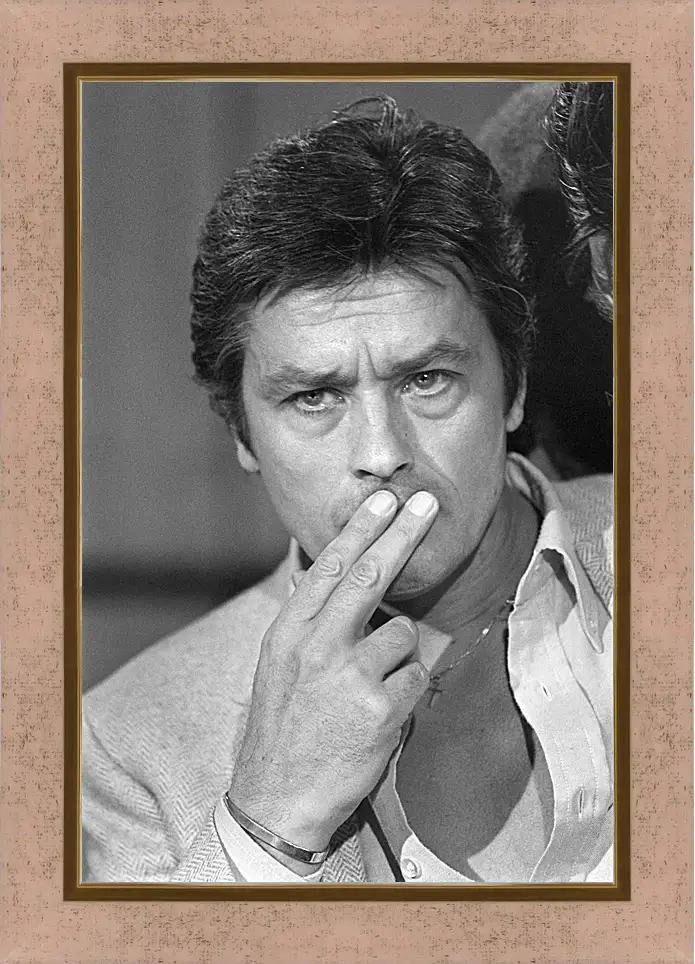 Картина в раме - Ален Делон. Alain Delon