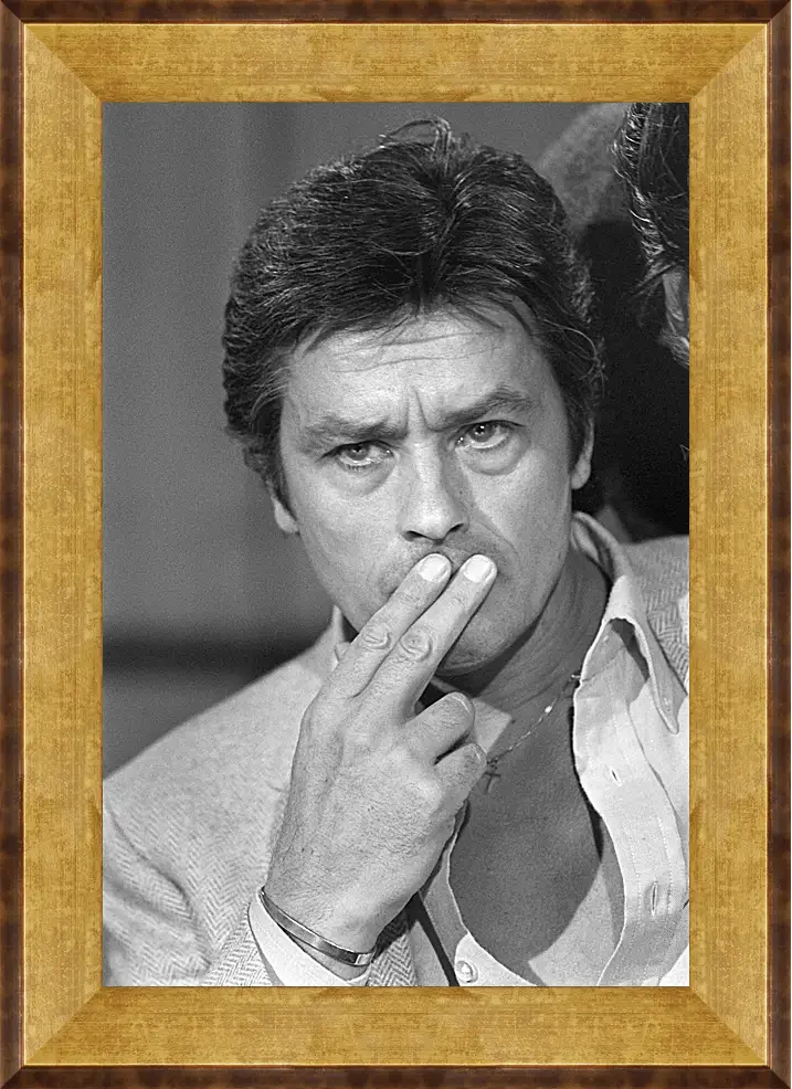 Картина в раме - Ален Делон. Alain Delon