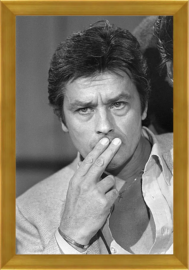 Картина в раме - Ален Делон. Alain Delon