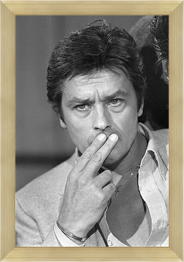 Картина в раме - Ален Делон. Alain Delon