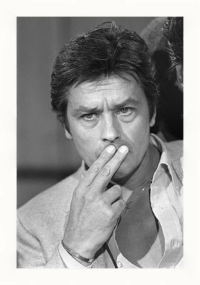 Картина в раме - Ален Делон. Alain Delon