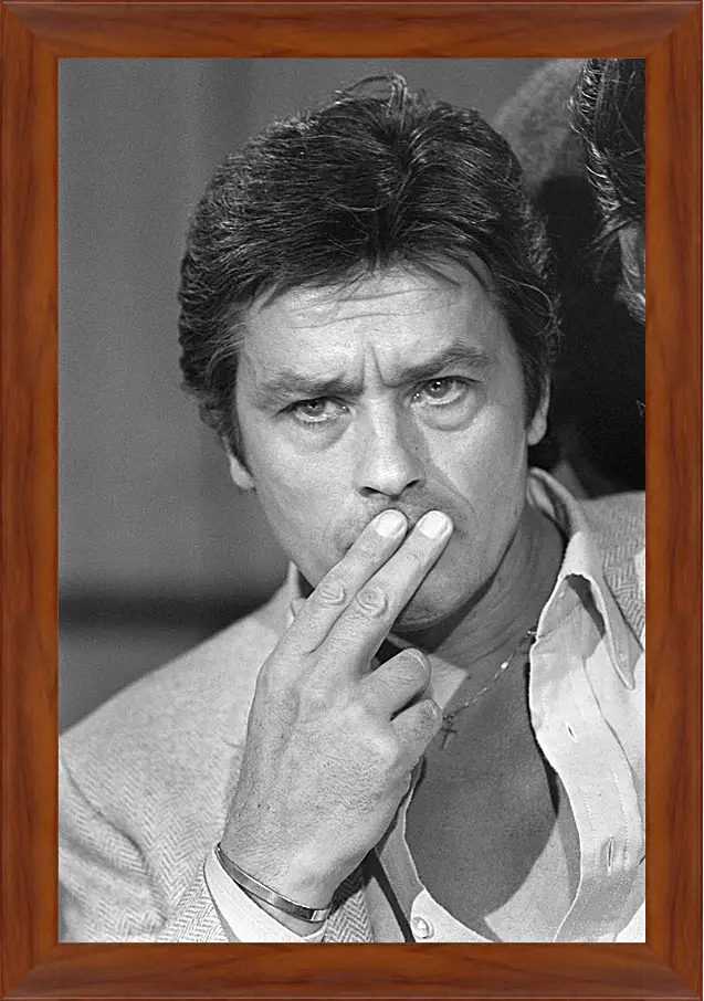 Картина в раме - Ален Делон. Alain Delon