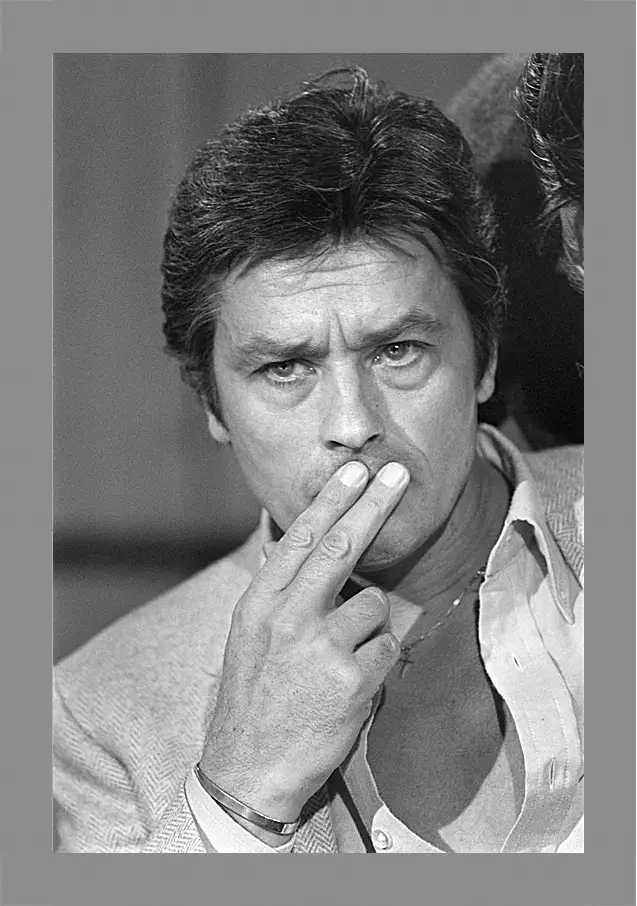 Картина в раме - Ален Делон. Alain Delon