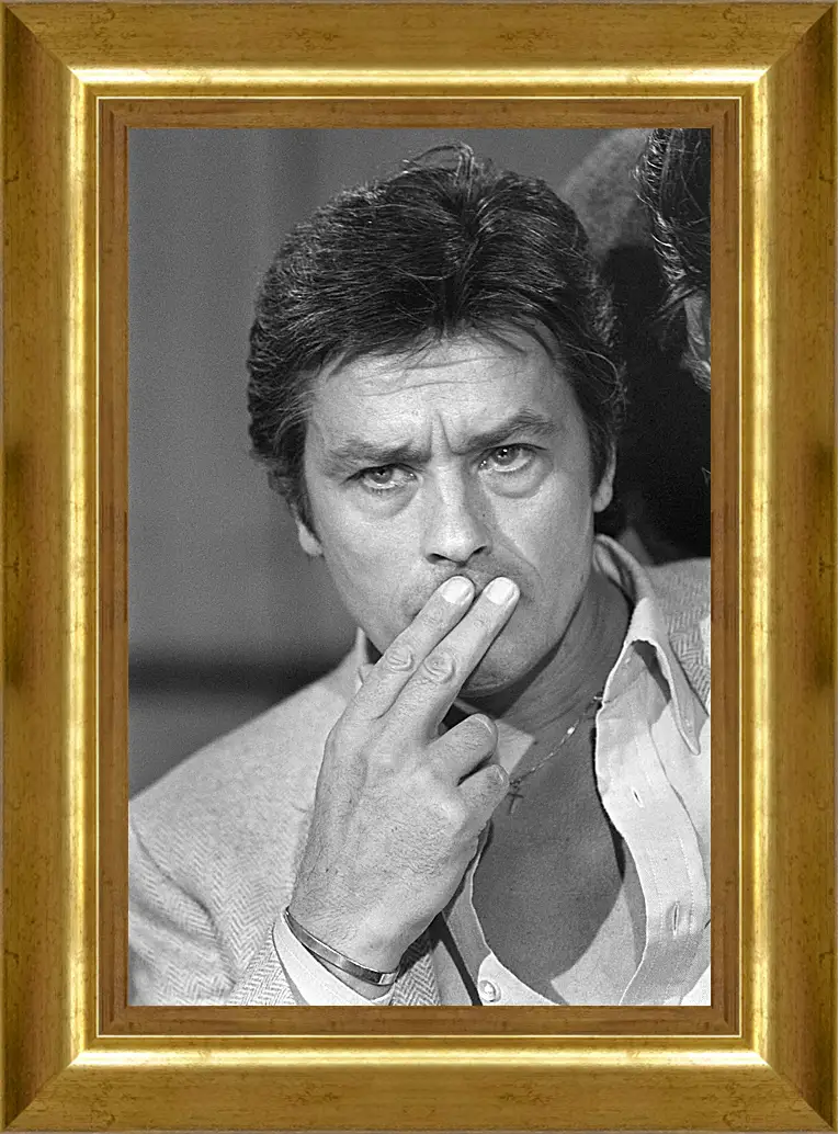 Картина в раме - Ален Делон. Alain Delon