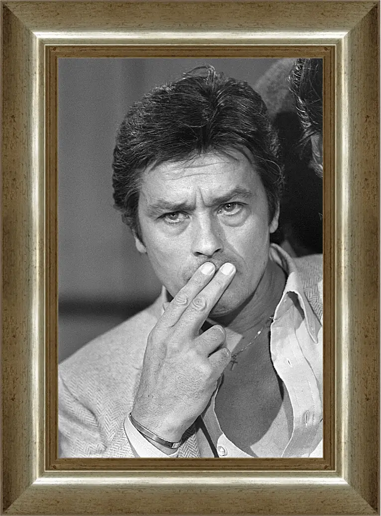 Картина в раме - Ален Делон. Alain Delon