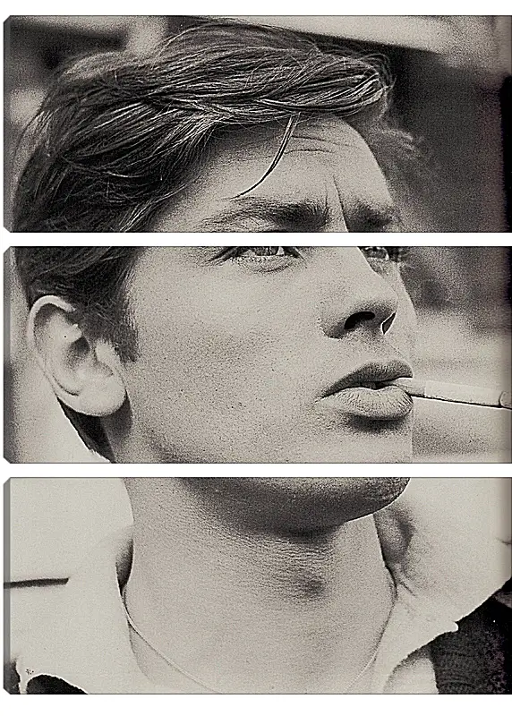 Модульная картина - Ален Делон. Alain Delon