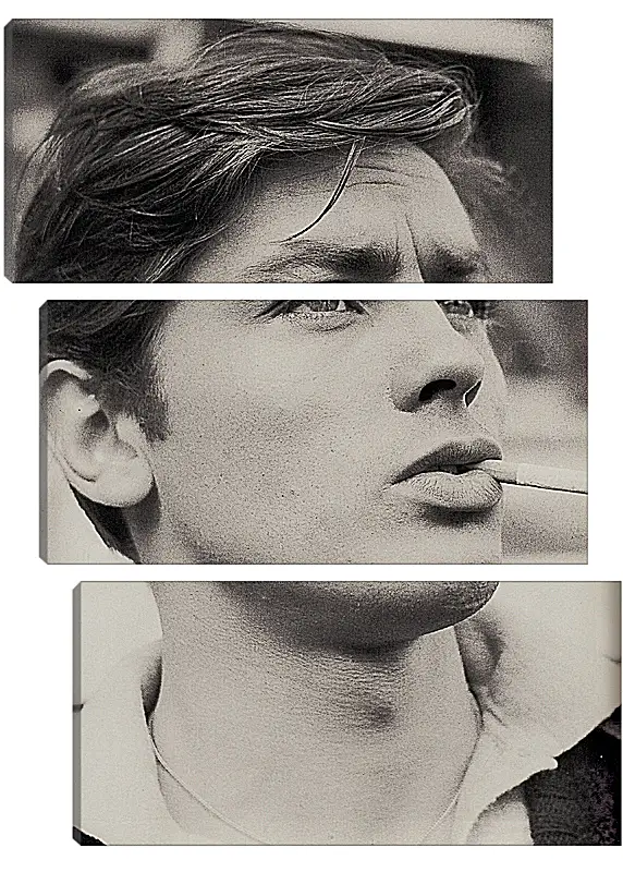 Модульная картина - Ален Делон. Alain Delon