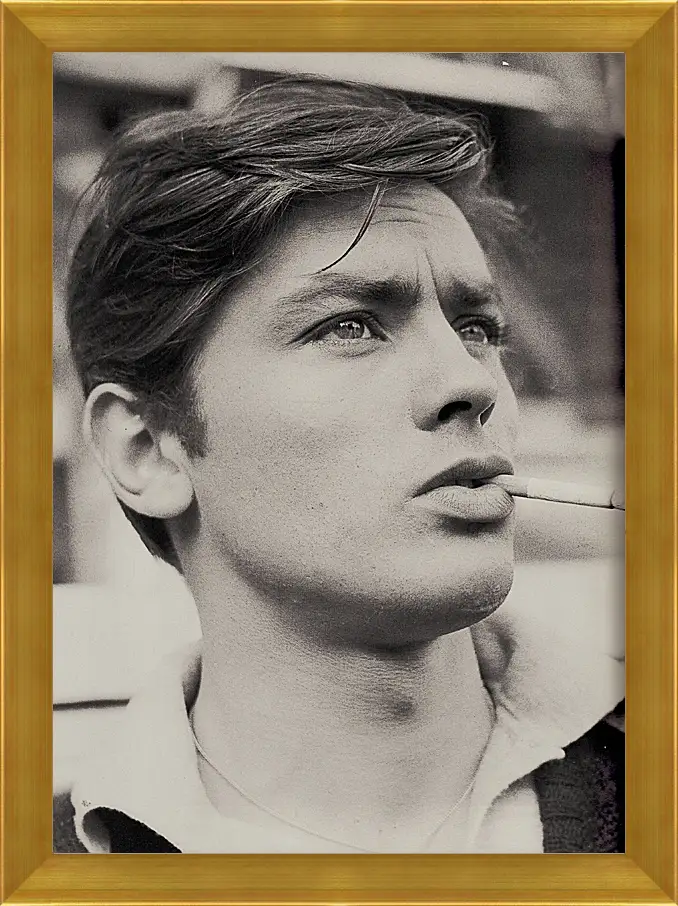 Картина в раме - Ален Делон. Alain Delon