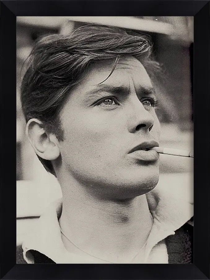 Картина в раме - Ален Делон. Alain Delon