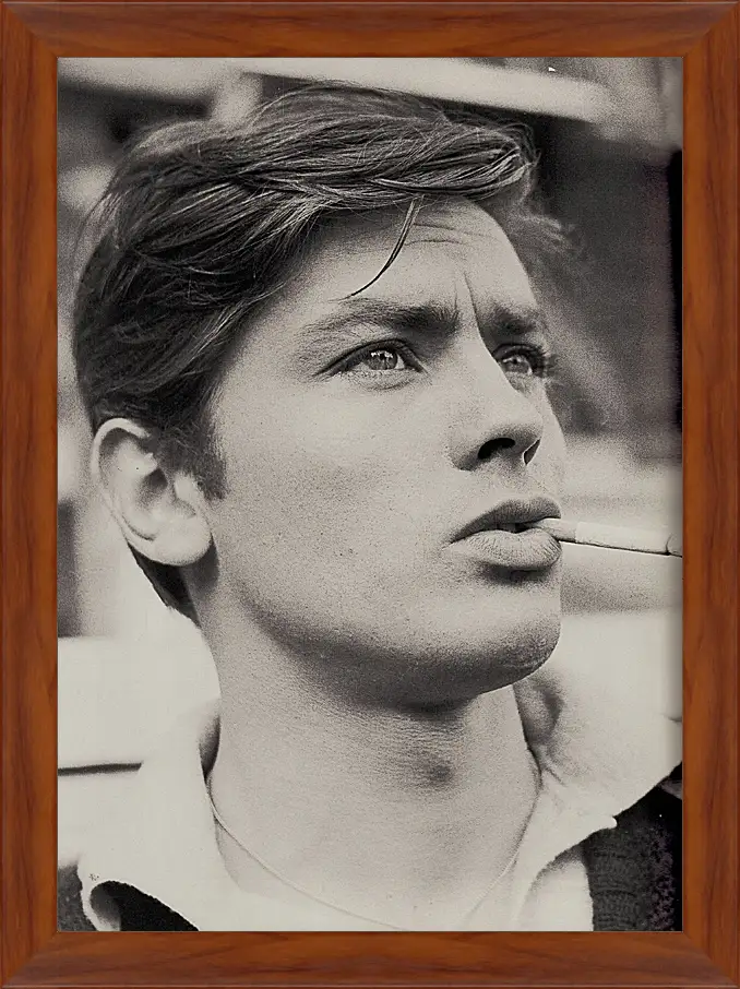 Картина в раме - Ален Делон. Alain Delon