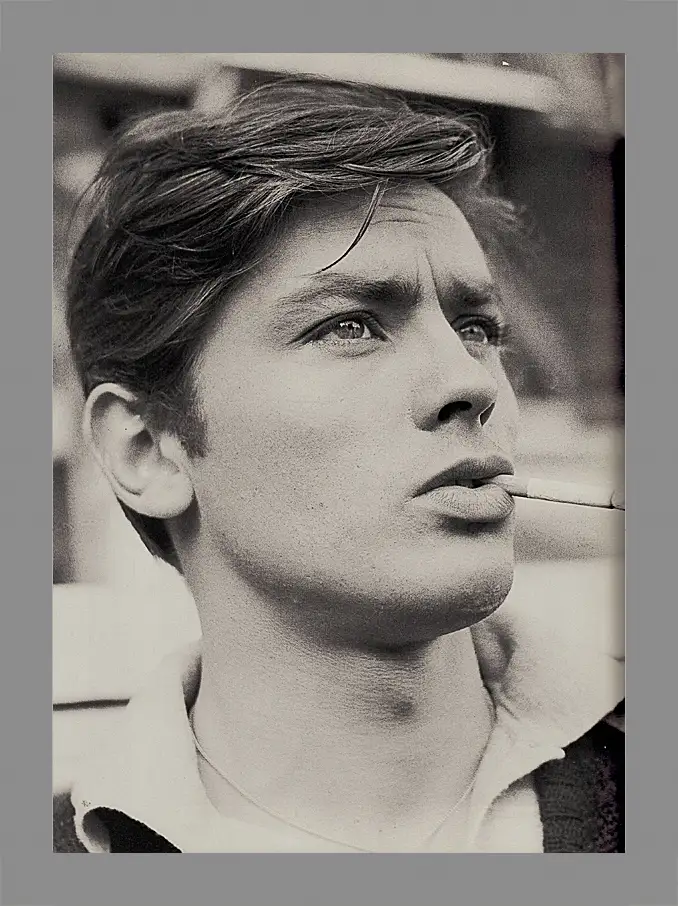 Картина в раме - Ален Делон. Alain Delon