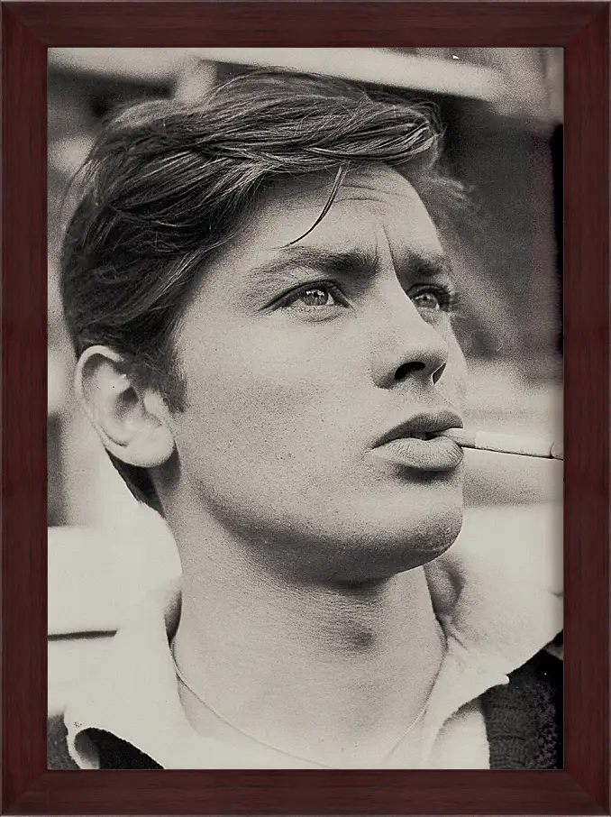 Картина в раме - Ален Делон. Alain Delon