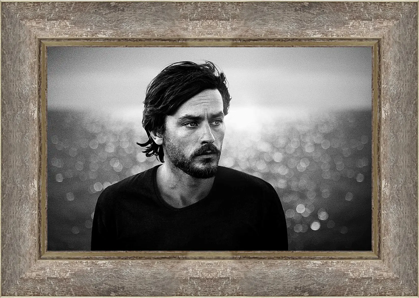 Картина в раме - Ален Делон. Alain Delon