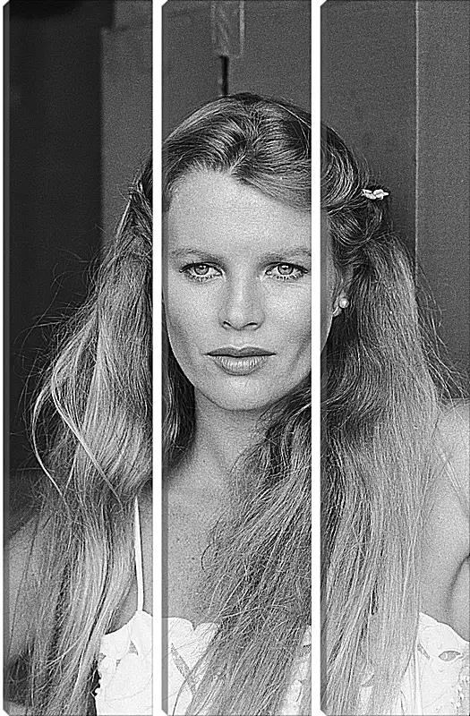 Модульная картина - Ким Бейсингер. Kim Basinger