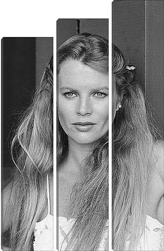 Модульная картина - Ким Бейсингер. Kim Basinger