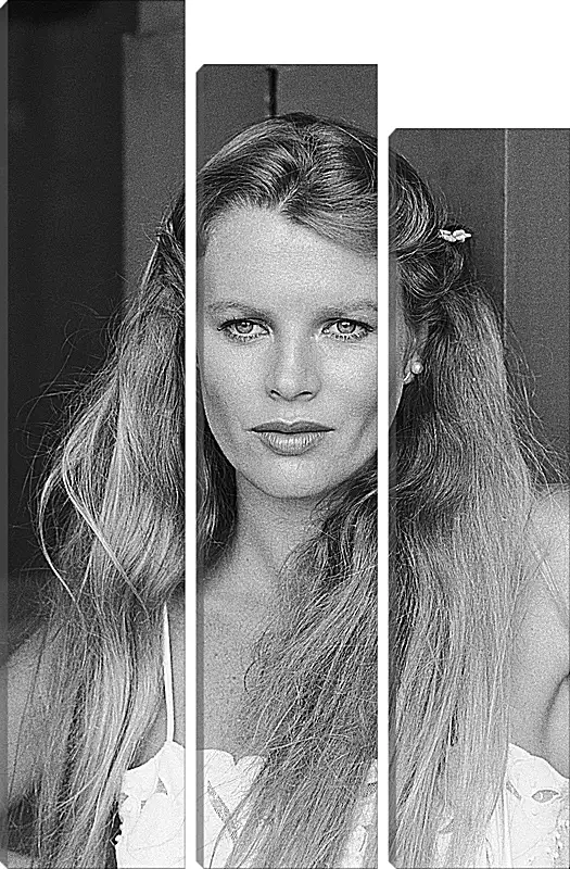 Модульная картина - Ким Бейсингер. Kim Basinger