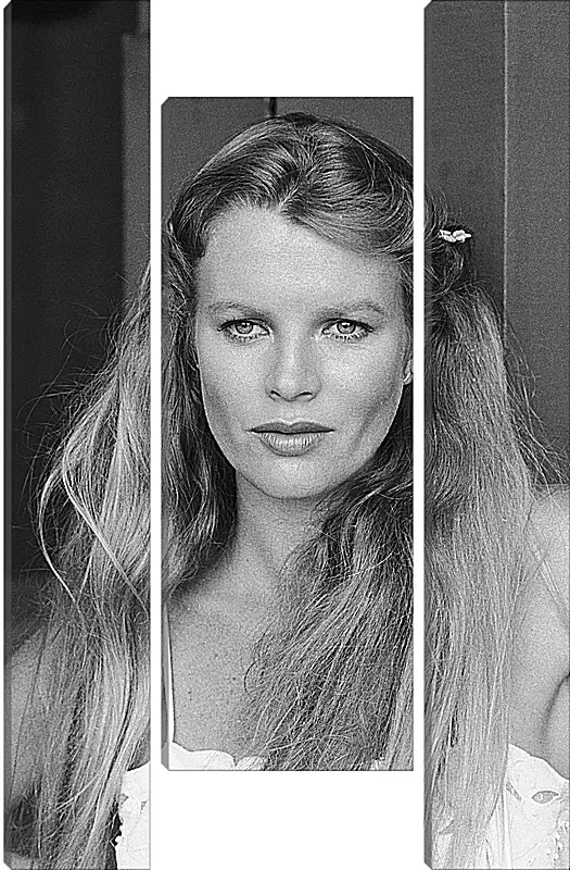 Модульная картина - Ким Бейсингер. Kim Basinger