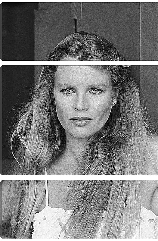 Модульная картина - Ким Бейсингер. Kim Basinger