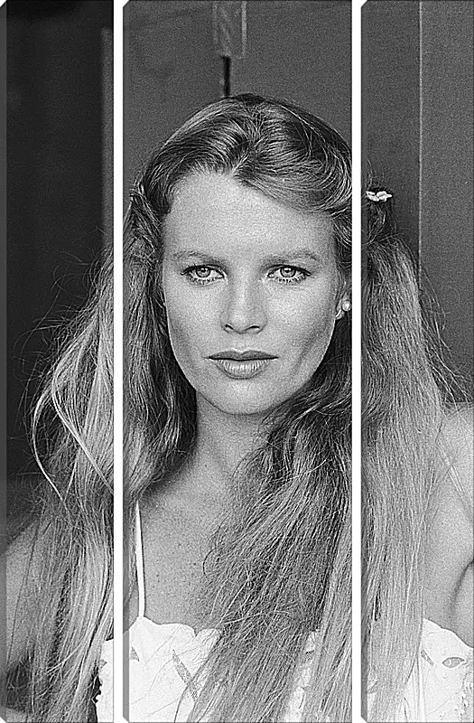 Модульная картина - Ким Бейсингер. Kim Basinger