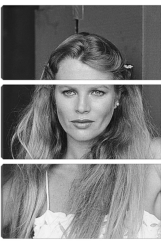 Модульная картина - Ким Бейсингер. Kim Basinger