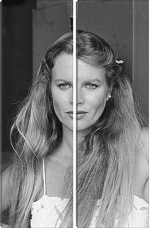 Модульная картина - Ким Бейсингер. Kim Basinger