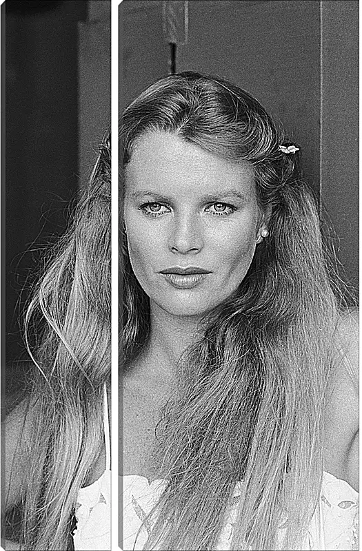 Модульная картина - Ким Бейсингер. Kim Basinger