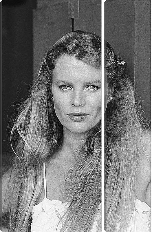 Модульная картина - Ким Бейсингер. Kim Basinger