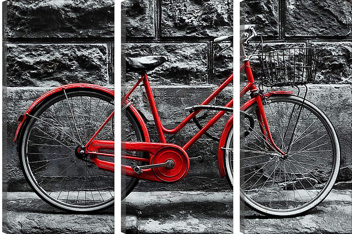 Модульная картина - Велосипед