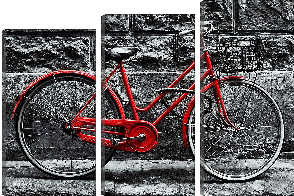 Модульная картина - Велосипед