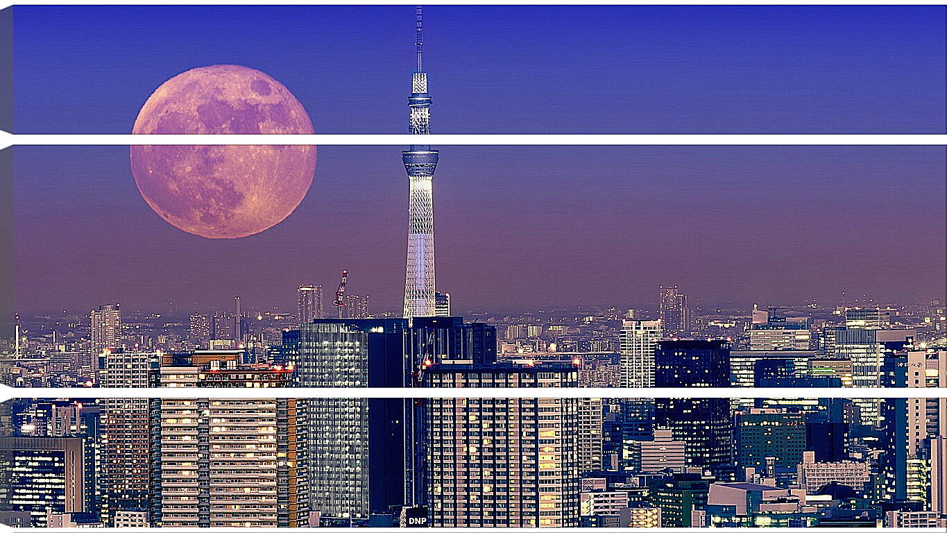 Модульная картина - Лунная ночь