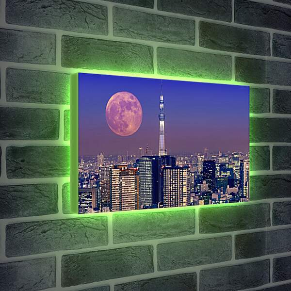 Лайтбокс световая панель - Лунная ночь
