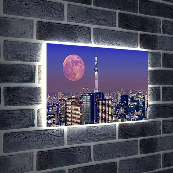 Лайтбокс световая панель - Лунная ночь