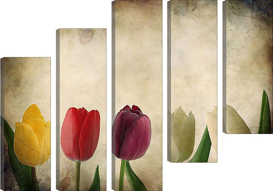Модульная картина - Тюльпаны
