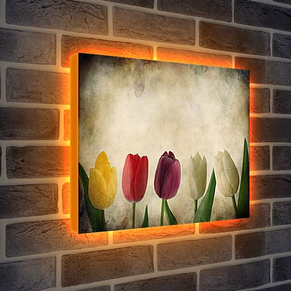 Лайтбокс световая панель - Тюльпаны