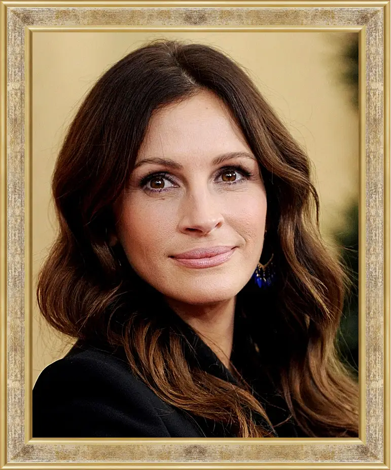 Картина в раме - Джулия Робертс. Julia Roberts