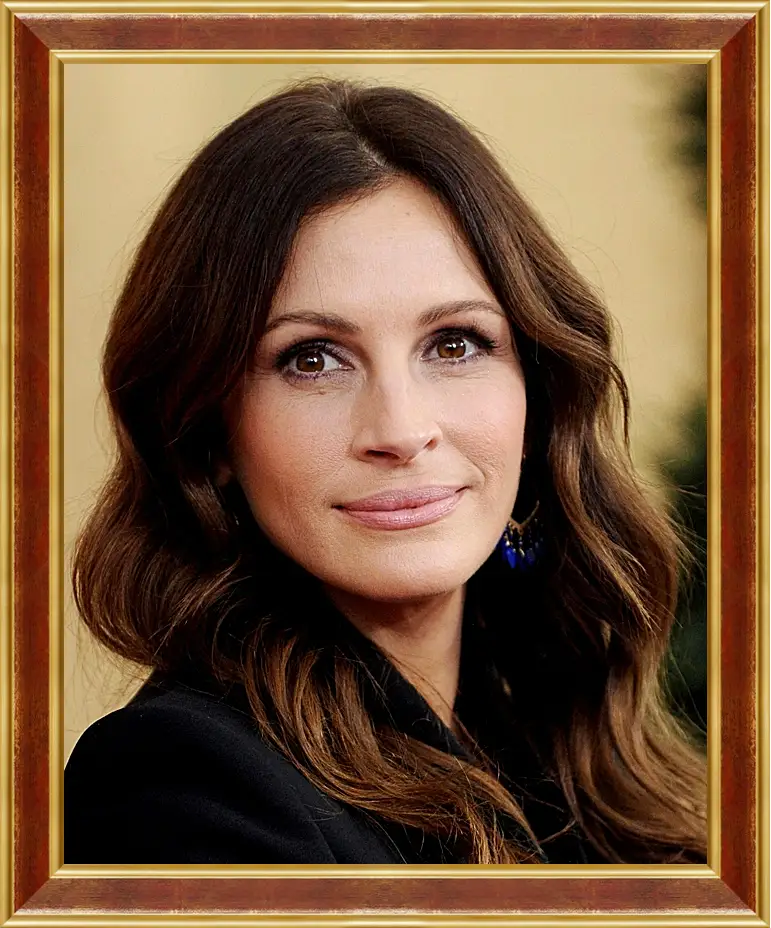 Картина в раме - Джулия Робертс. Julia Roberts