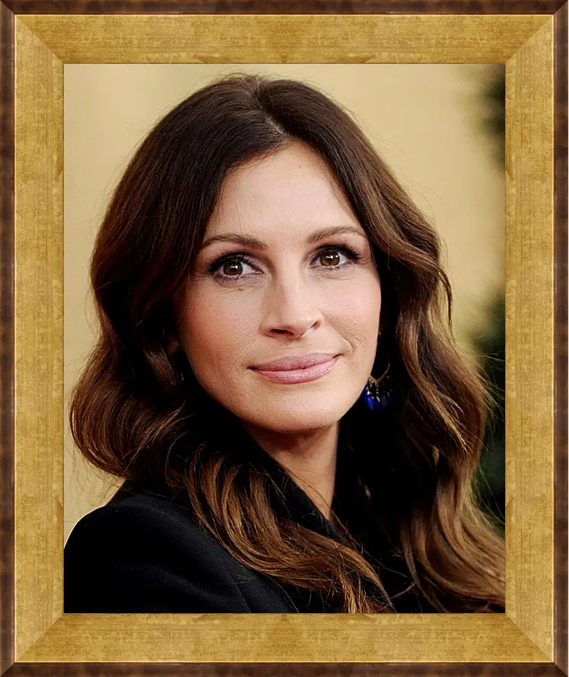 Картина в раме - Джулия Робертс. Julia Roberts