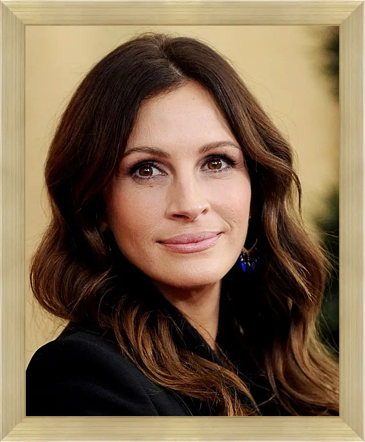 Картина в раме - Джулия Робертс. Julia Roberts