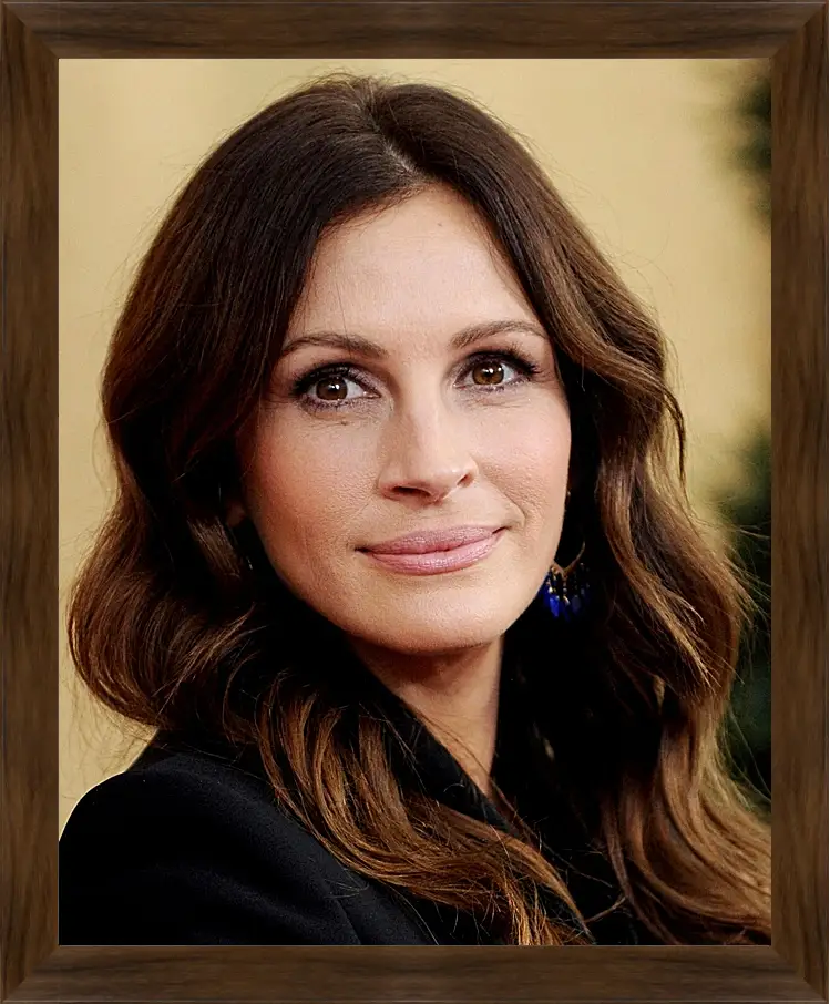 Картина в раме - Джулия Робертс. Julia Roberts