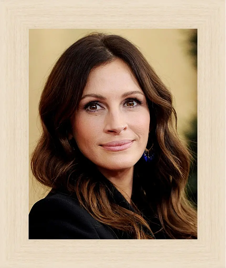 Картина в раме - Джулия Робертс. Julia Roberts